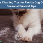 Pet Hair Cleaning Tips for Florida Dog Owners _ Seasonal Survival Tips