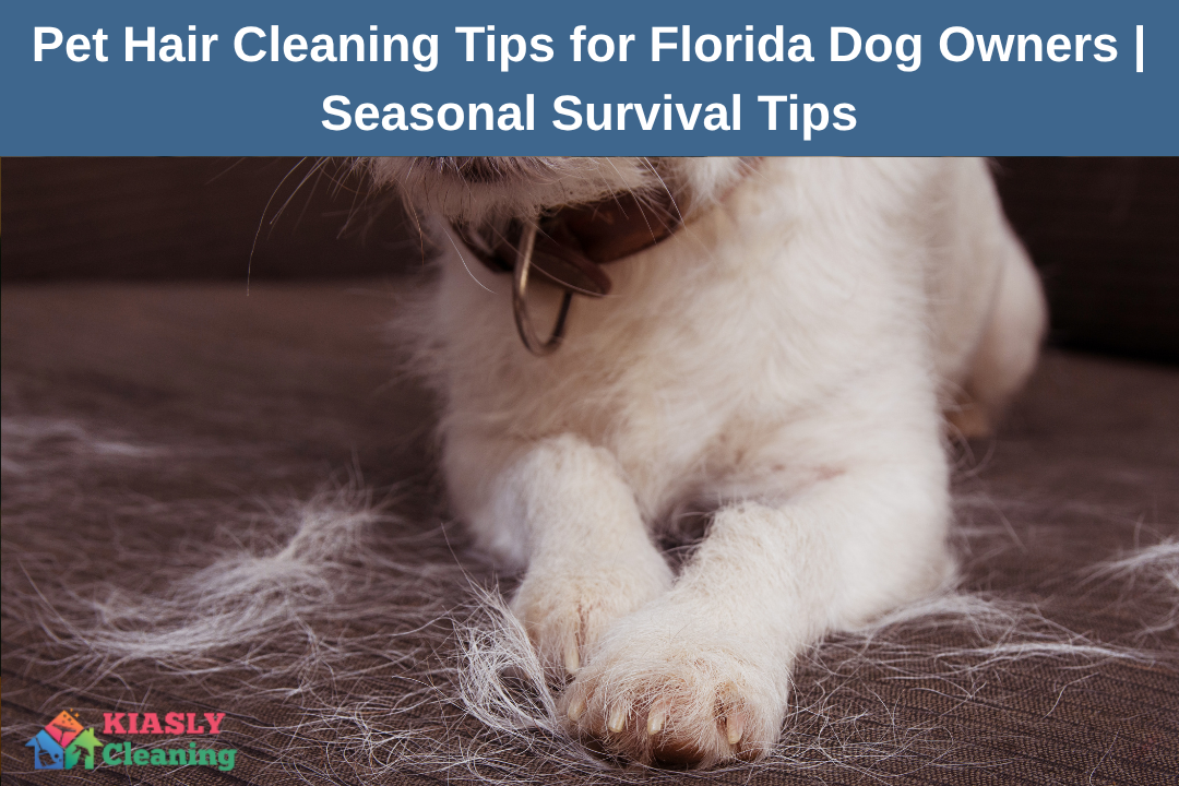 Pet Hair Cleaning Tips for Florida Dog Owners _ Seasonal Survival Tips