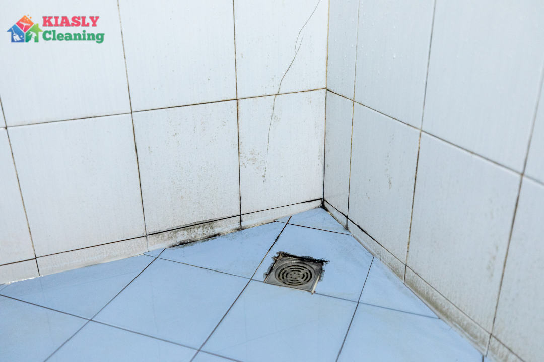 Tackle Bathroom Mold Weekly